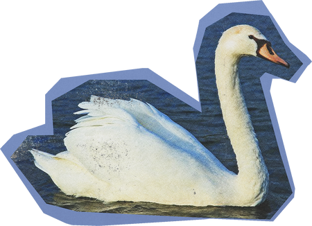 Swan Cut Out